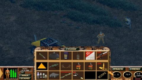 Image in-game