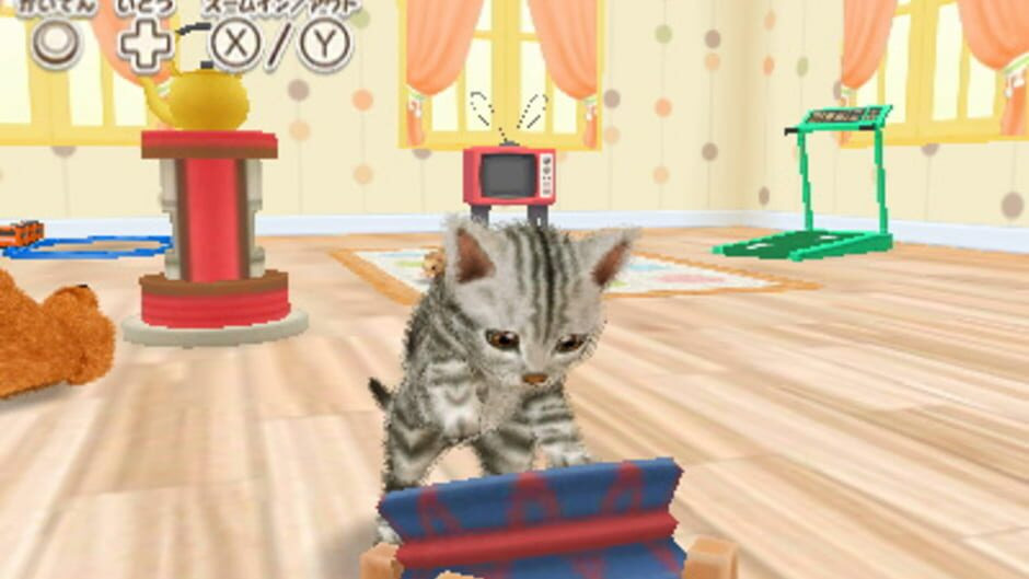 Image in-game