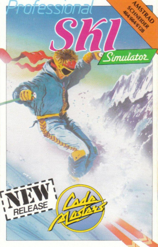 Professional Ski Simulator