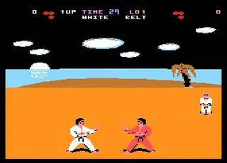 Brutal Karate