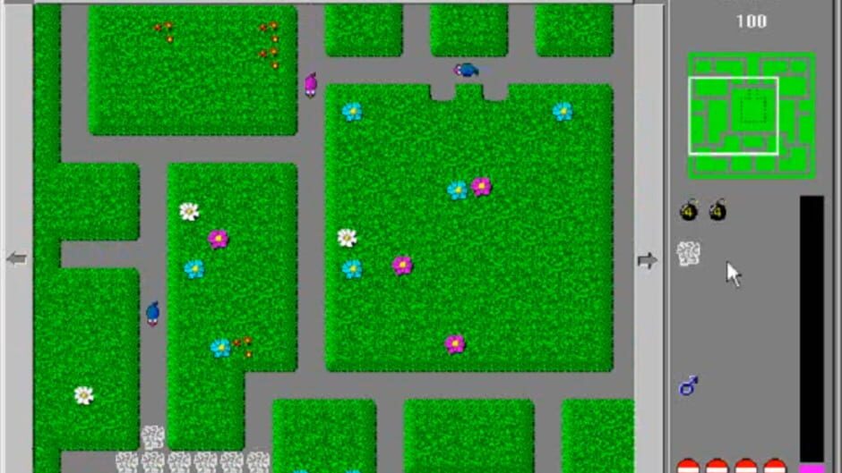 Image in-game