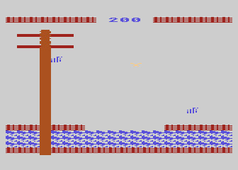 Snowbird