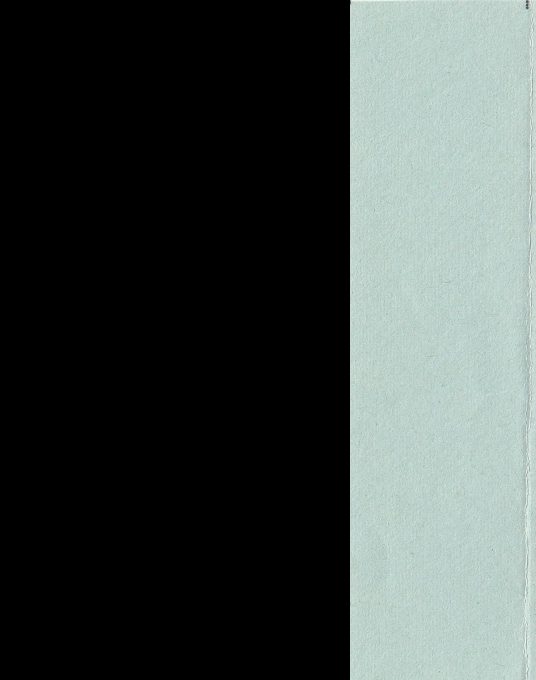 Amnesia And Xanadu - Dos