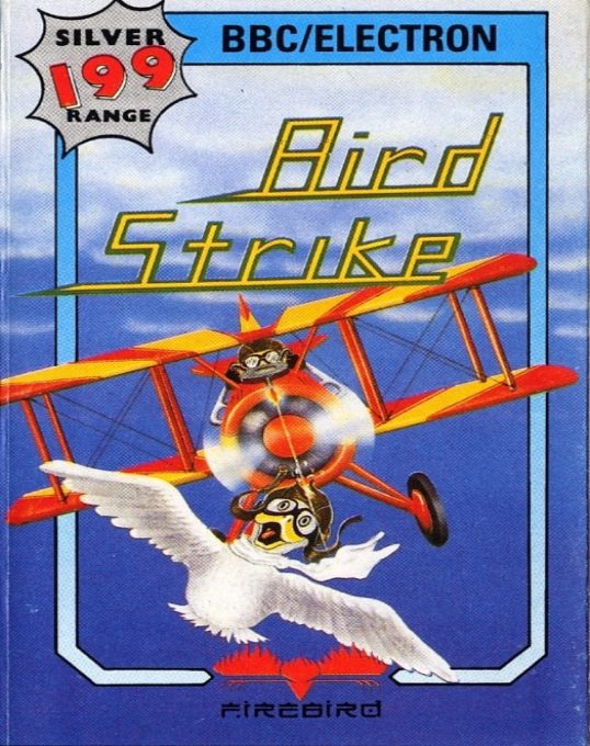 Bird Strike