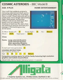 Cosmic Asteroids - Dos