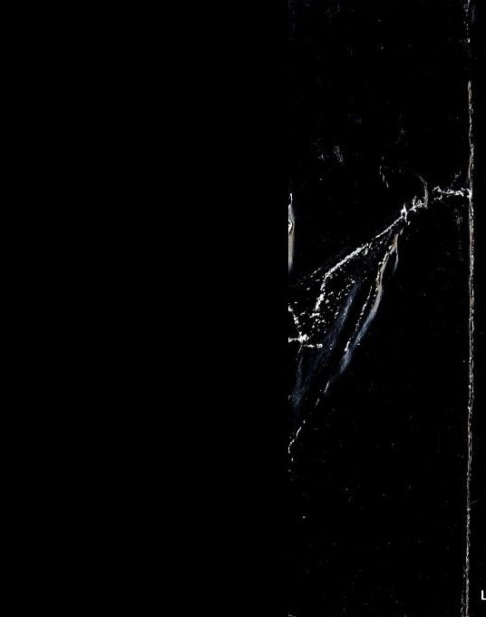 The Rising Of Salandra Part 1 - The Prophecy dos