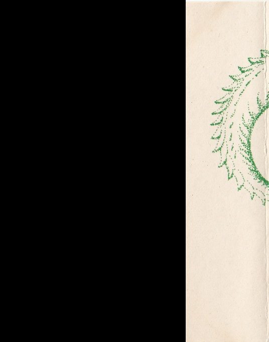 Xanadu Adventure - Dos