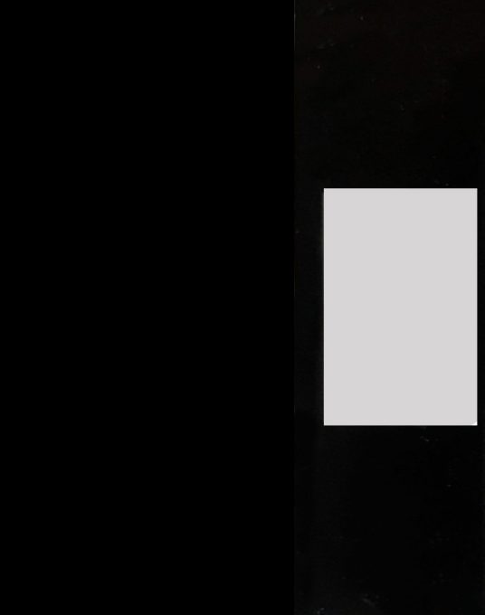 911 Tiger Shark - Dos