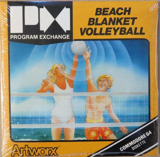 Beach Blanket Volleyball