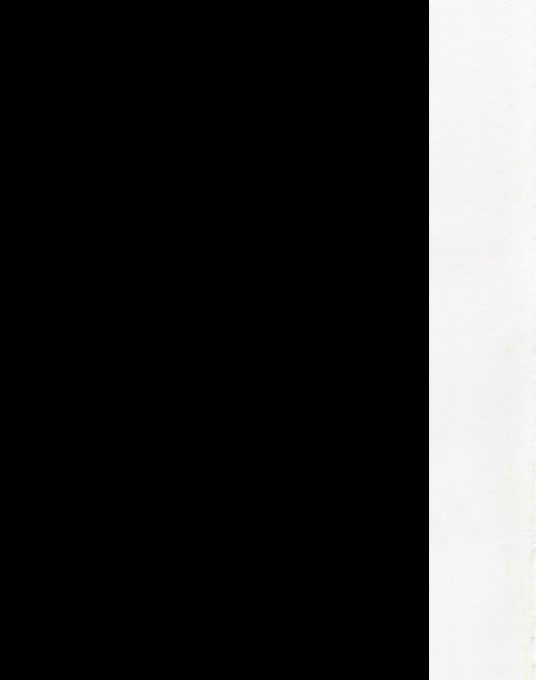 Bootleg Bandits - Dos