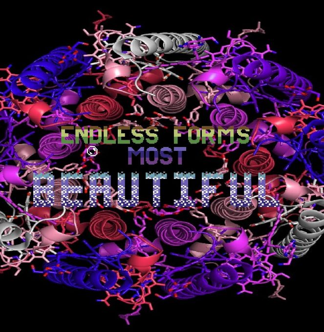 Endless Forms Most Beautiful