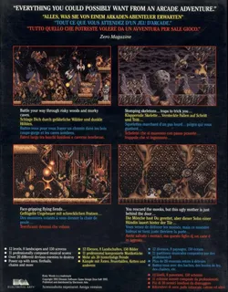 Risky Woods - Dos