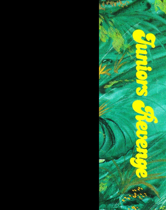 Junior's Revenge - Dos