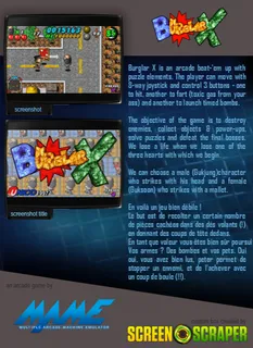 Burglar X - Dos
