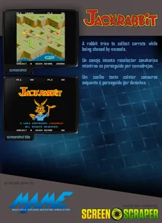 Jack Rabbit - Dos