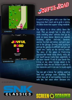 Joyful Road - Dos