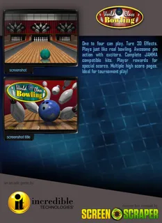 World Class Bowling - Dos
