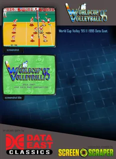 World Cup Volley '95 - Dos