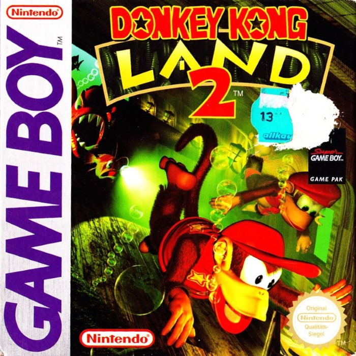 Donkey Kong Land 2
