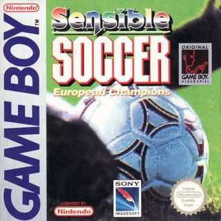 Sensible Soccer - European Champions