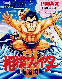 Sumo Fighter
