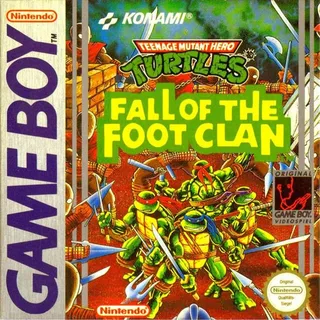 Teenage Mutant Ninja Turtles : Fall of the Foot Clan