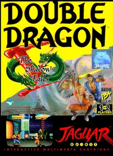 Double Dragon V : The Shadow Falls
