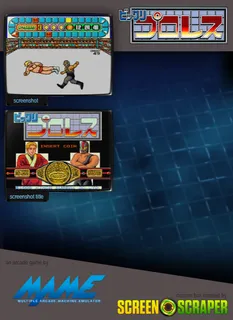 Bikkuri Pro Wrestling - Dos