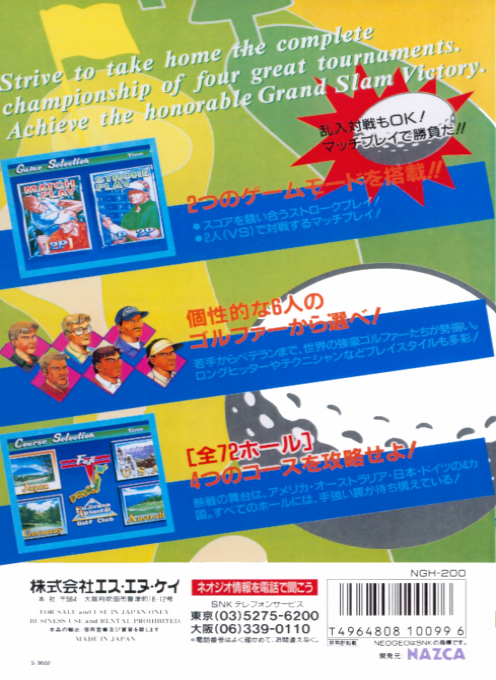 Neo Turf Masters dos