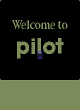Palm Pilot 1000