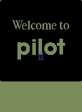 Palm Pilot 1000
