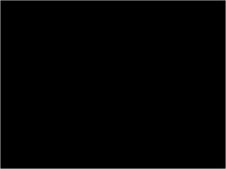 Taito FX-1