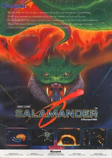 Salamander