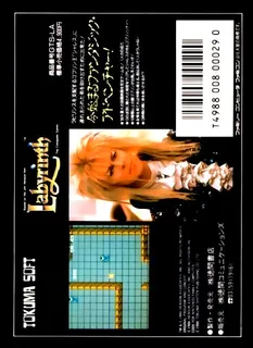 Labyrinth - Dos