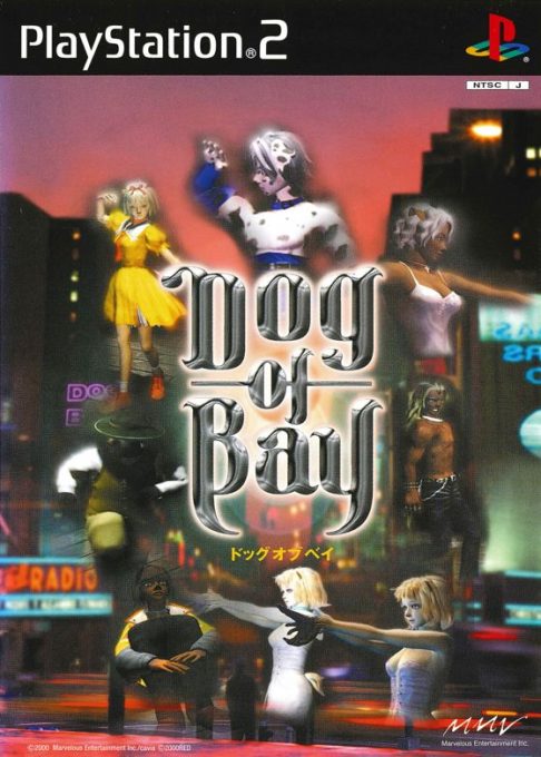 Dog Of Bay