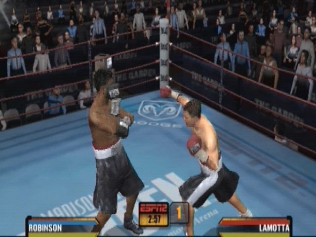 Image in-game