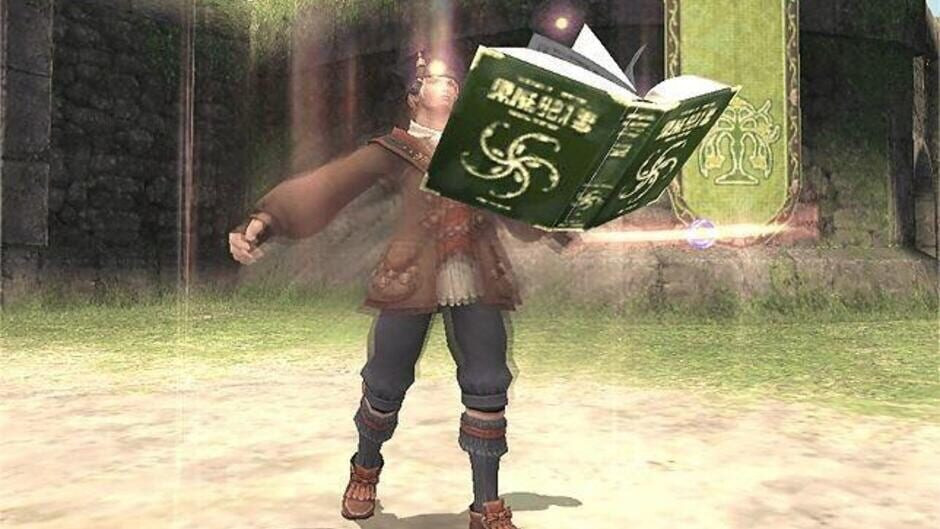 Image in-game