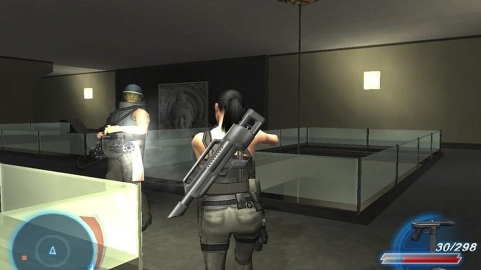 Image in-game