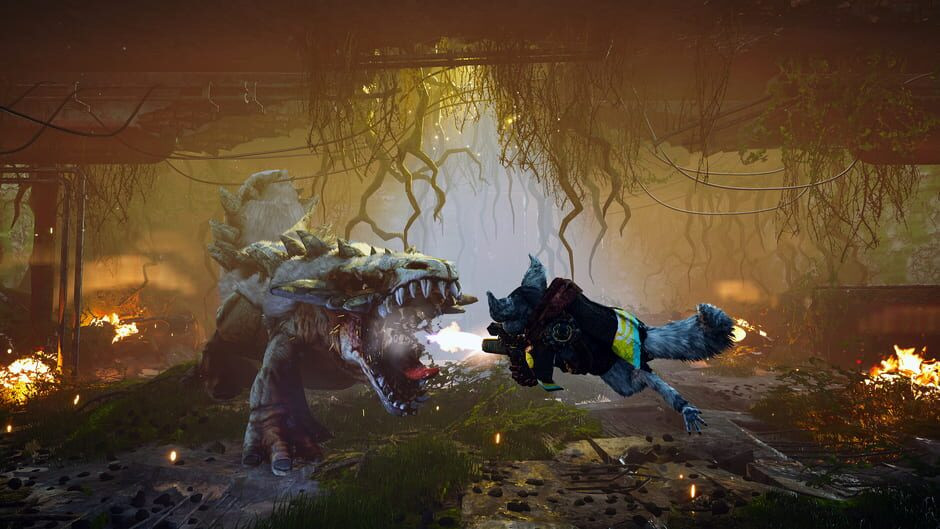 Image in-game
