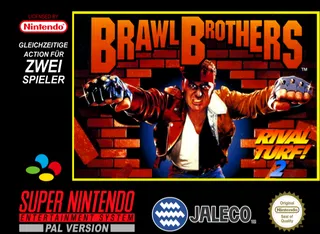 Brawl Brothers - Rival Turf! 2