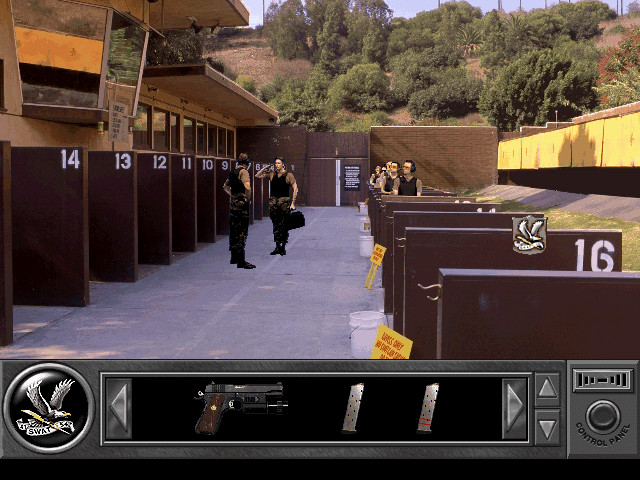 Image in-game