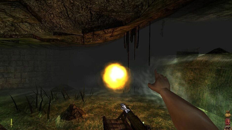 Image in-game