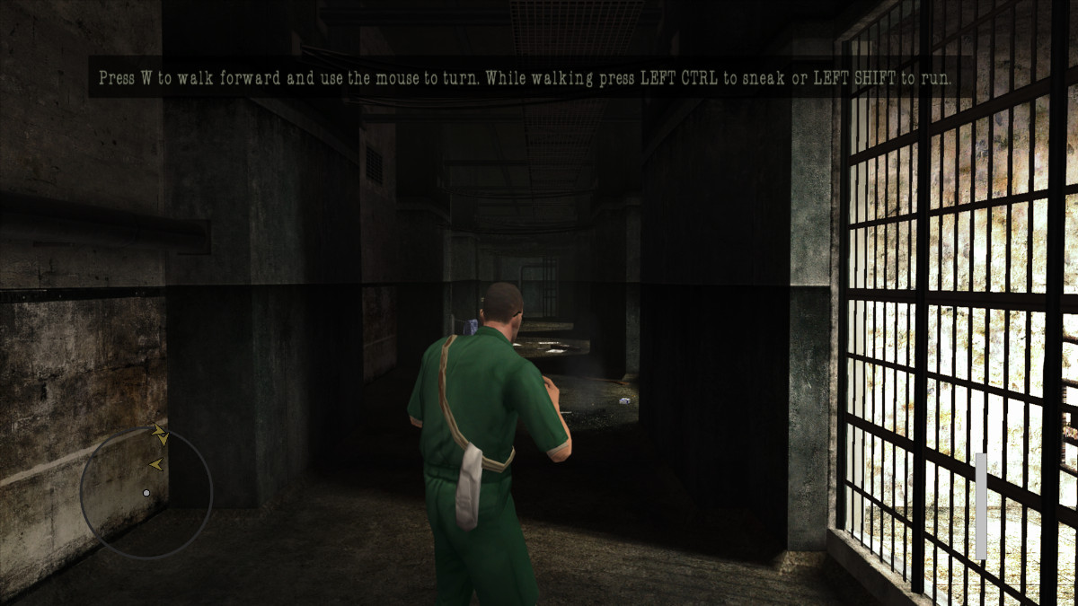 Image in-game
