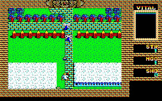 Image in-game