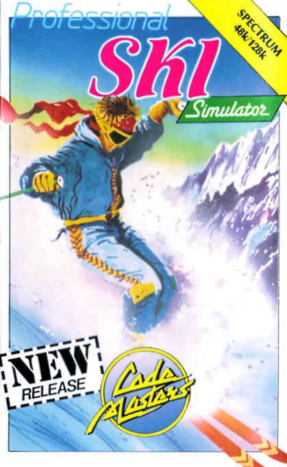 Professional Ski Simulator
